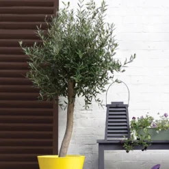 Sandtex® Exterior 10 Year Gloss Paint Chestnut Brown - 2.5L 12 Sandtex® Exterior 10 Year Gloss Paint Chestnut Brown - 2.5L -Sandtex Home Sales Store 12809793 1464871561257353