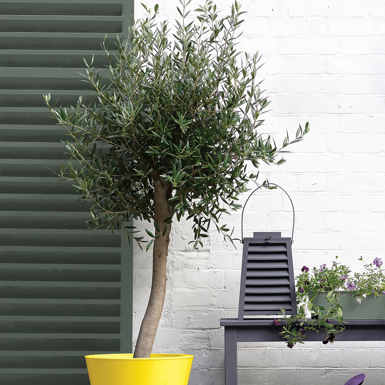 Sandtex® Exterior 10 Year Satin Paint Fern Canopy - 750ml 5 Sandtex® Exterior 10 Year Satin Paint Fern Canopy - 750ml - Image 5