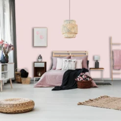 Homebase Tough & Durable Matt Paint Rose Haze - 2.5L 6 Homebase Tough & Durable Matt Paint Rose Haze - 2.5L -Sandtex Home Sales Store 12836951 1064833203194995