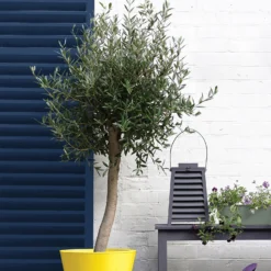 Sandtex® Exterior 10 Year Gloss Paint Oxford Blue - 750ml -Sandtex Home Sales Store 12839227 1814872088258659