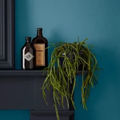 Crown Easyclean® Mouldguard+ Bathroom Mid Sheen Washable Multi Surface Paint Teal® - 2.5L -Sandtex Home Sales Store 12886785 1744853415906324