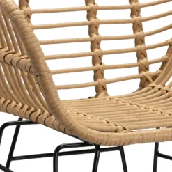 Ronnie Rattan Dining Chair - Set Of 2 -Sandtex Home Sales Store 13644186 1804997056966623