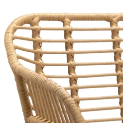 Ronnie Rattan Dining Chair - Set Of 2 -Sandtex Home Sales Store 13644186 6854997056909860