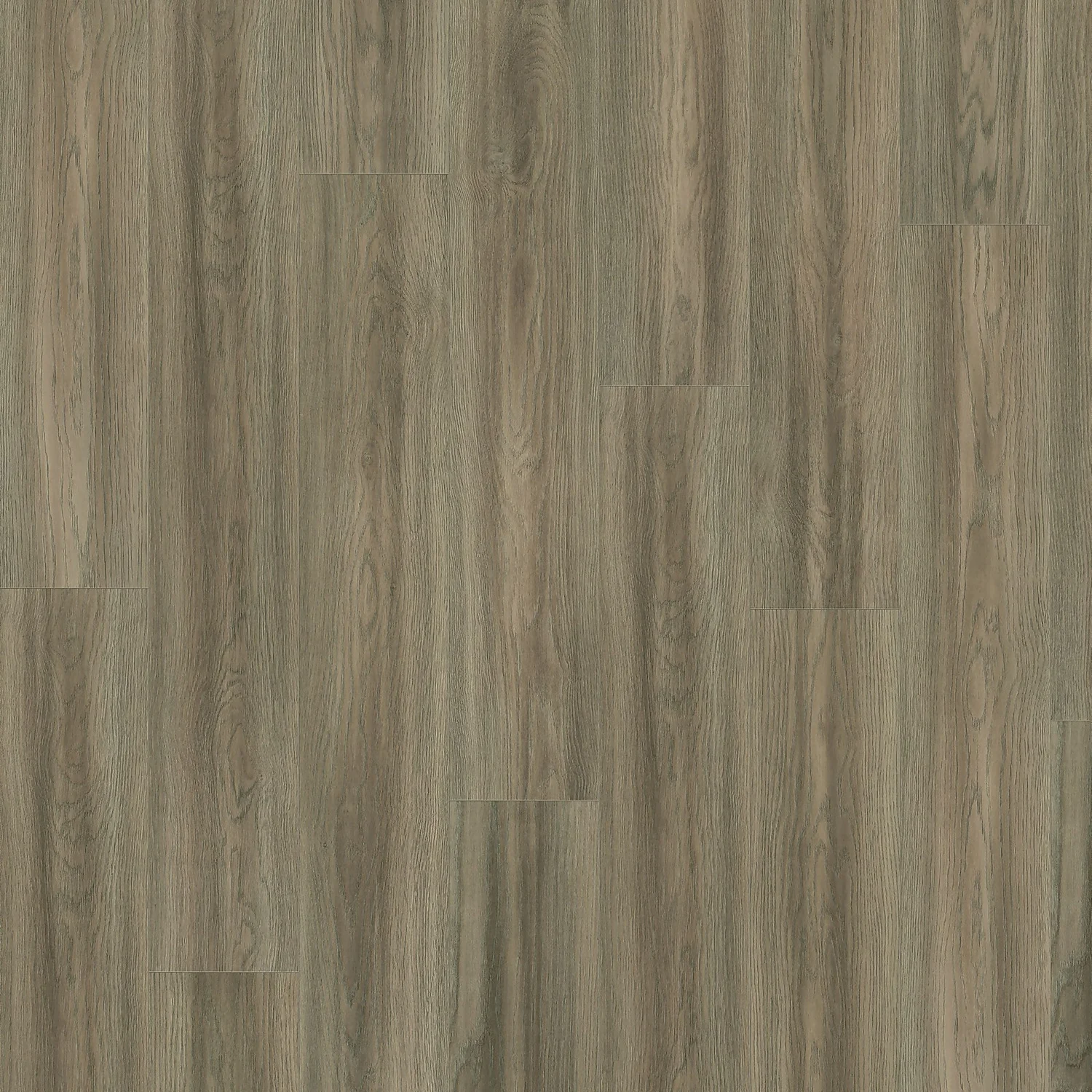 EGGER HOME Light Grey Bolton Oak 8mm Aqua+ Laminate Flooring Sample 2 EGGER HOME Light Grey Bolton Oak 8mm Aqua+ Laminate Flooring Sample - Image 2